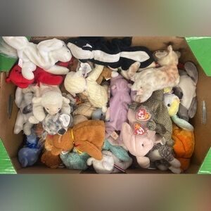 Ty Stuffed Animals Collection